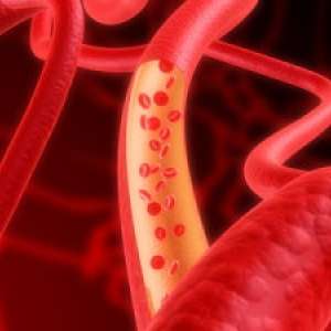 Cardiology