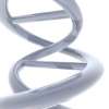Gene Therapy