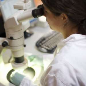 Microbiology