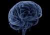 Neuroscience