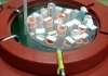 Stem Cell Research