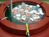 Stem Cell Research