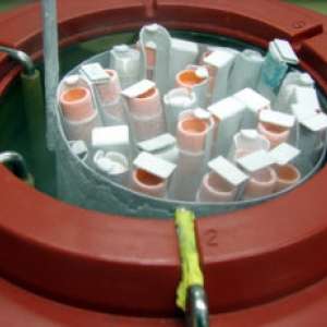 Stem Cell Research
